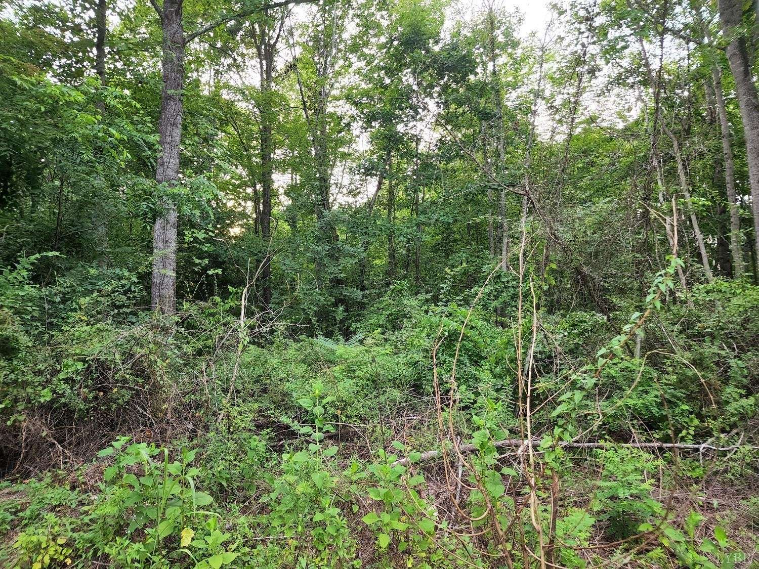 0.55 Acres of Land for Sale in Bedford, Virginia