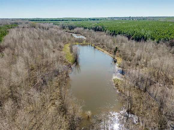 125 Acres of Recreational Land for Sale in Avery, Texas