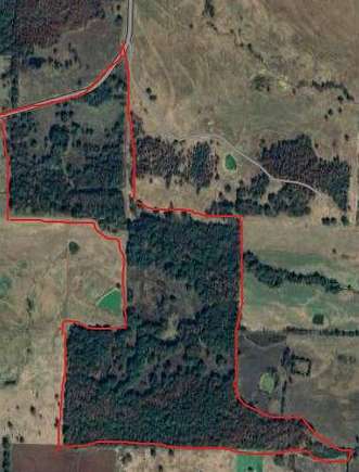 166 Acres of Agricultural Land for Sale in Charleston, Arkansas
