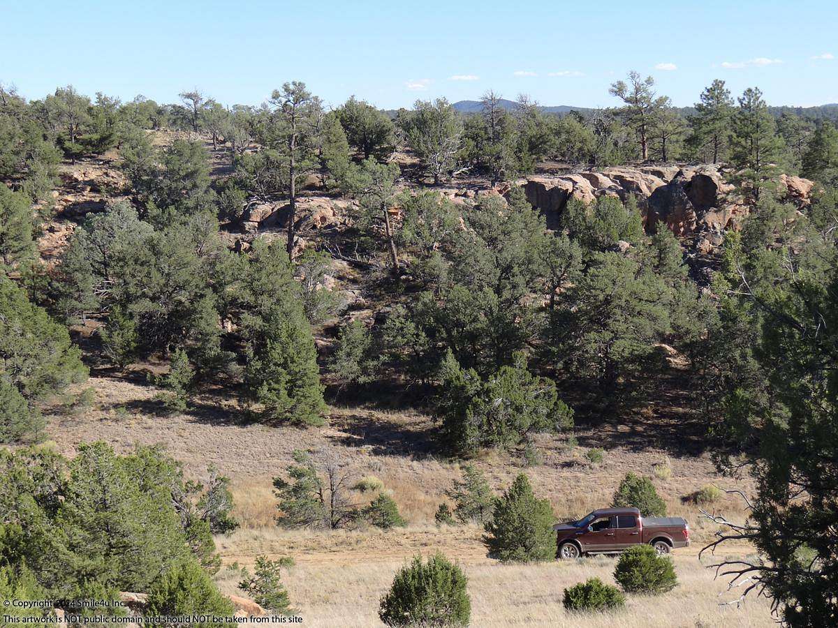 5.9 Acres of Land for Sale in Pinehill, New Mexico