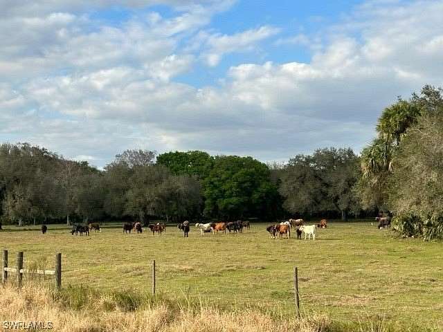 250 Acres of Agricultural Land for Sale in Clewiston, Florida