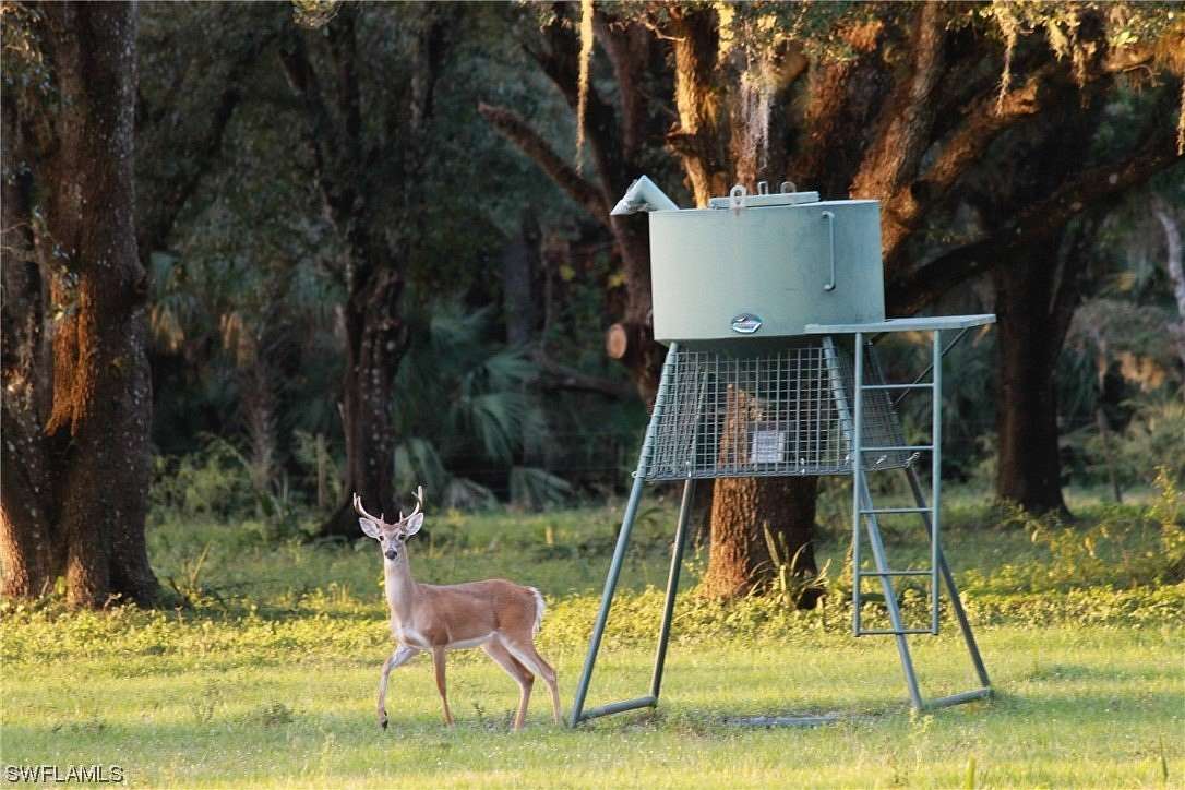 250 Acres of Agricultural Land for Sale in Clewiston, Florida