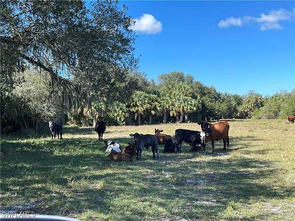 250 Acres of Agricultural Land for Sale in Clewiston, Florida