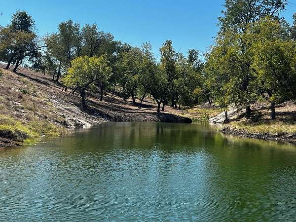 138 Acres of Land for Sale in Harper, Texas