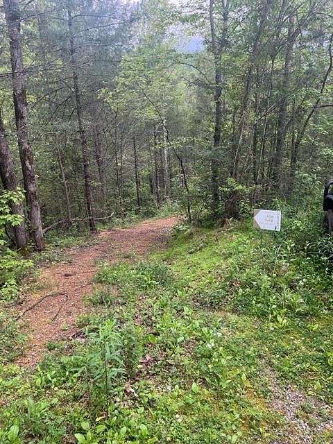 1.5 Acres of Residential Land for Sale in Sevierville, Tennessee