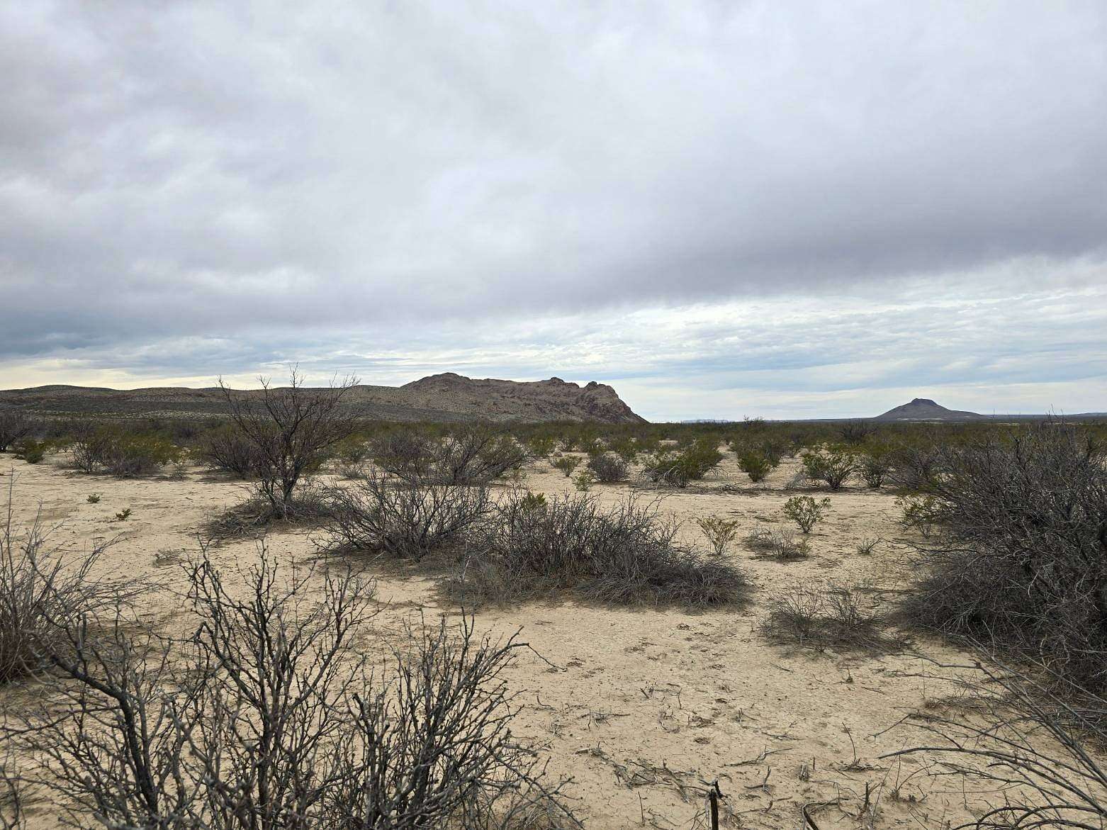 40 Acres of Land for Sale in Alpine, Texas