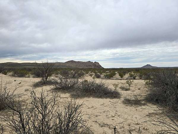 40 Acres of Land for Sale in Alpine, Texas