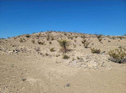 20 Acres of Land for Sale in Alpine, Texas