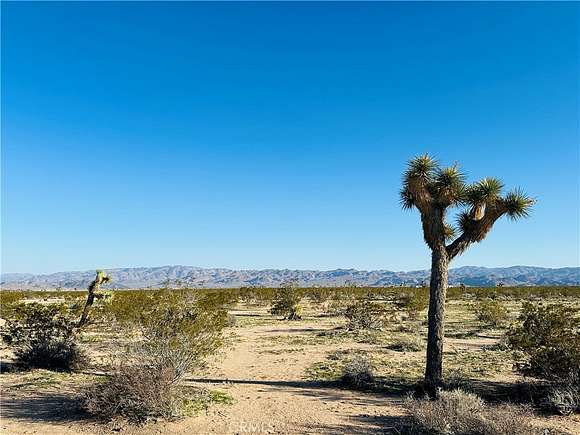 8.2 Acres of Land for Sale in Joshua Tree, California