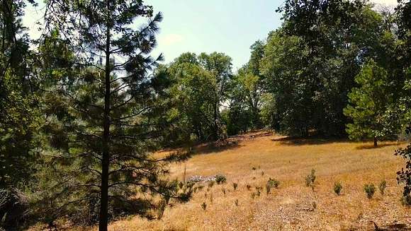 10.8 Acres of Land for Sale in West Point, California