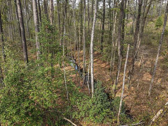 32 Acres of Land for Sale in Aiken, South Carolina