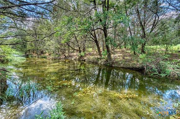 24.42 Acres of Land for Sale in Briggs, Texas