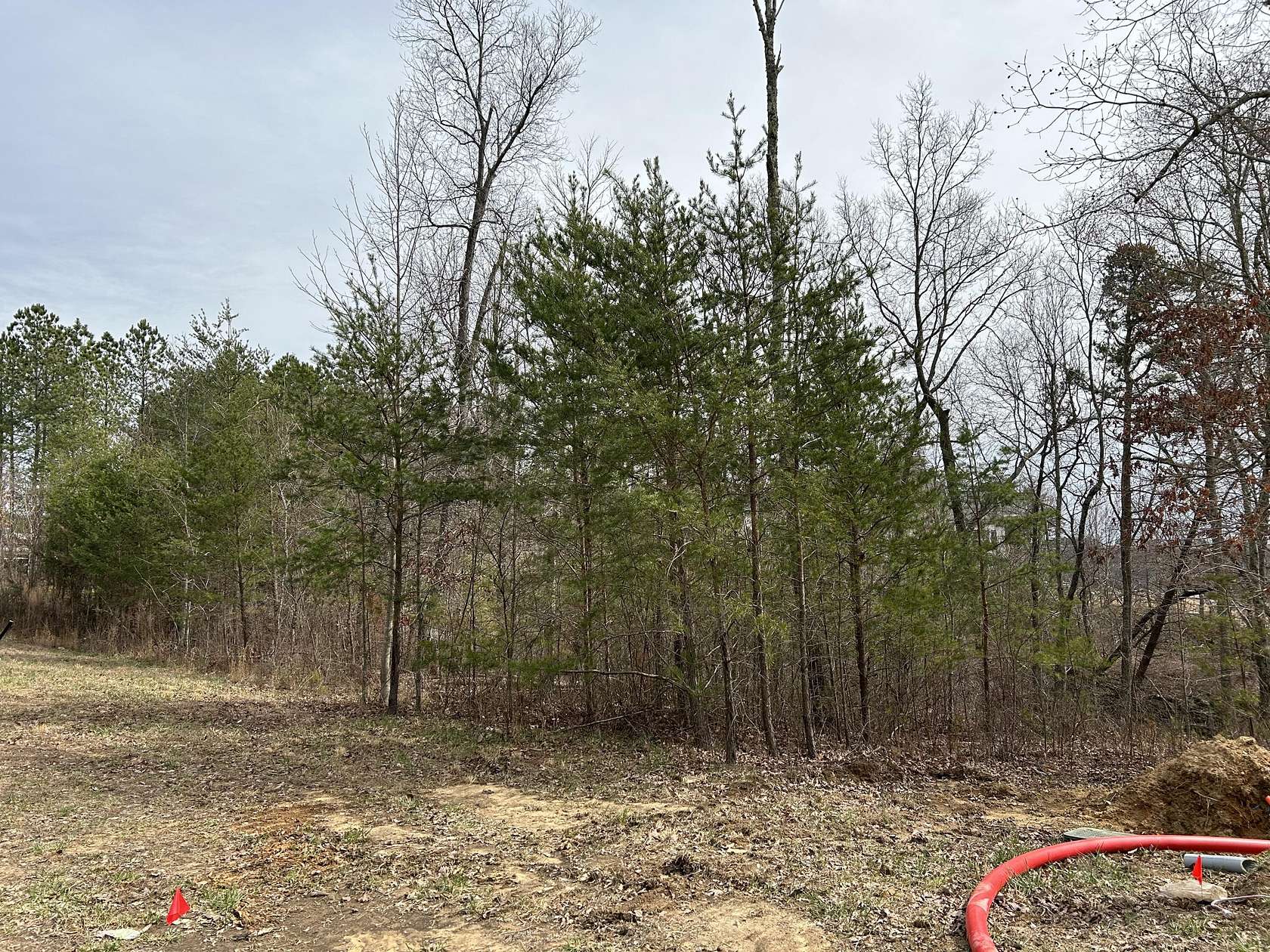 2 Acres of Residential Land for Sale in Jasper, Tennessee