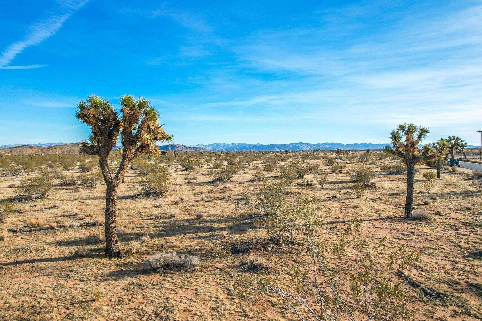 9 Acres of Land for Sale in Landers, California