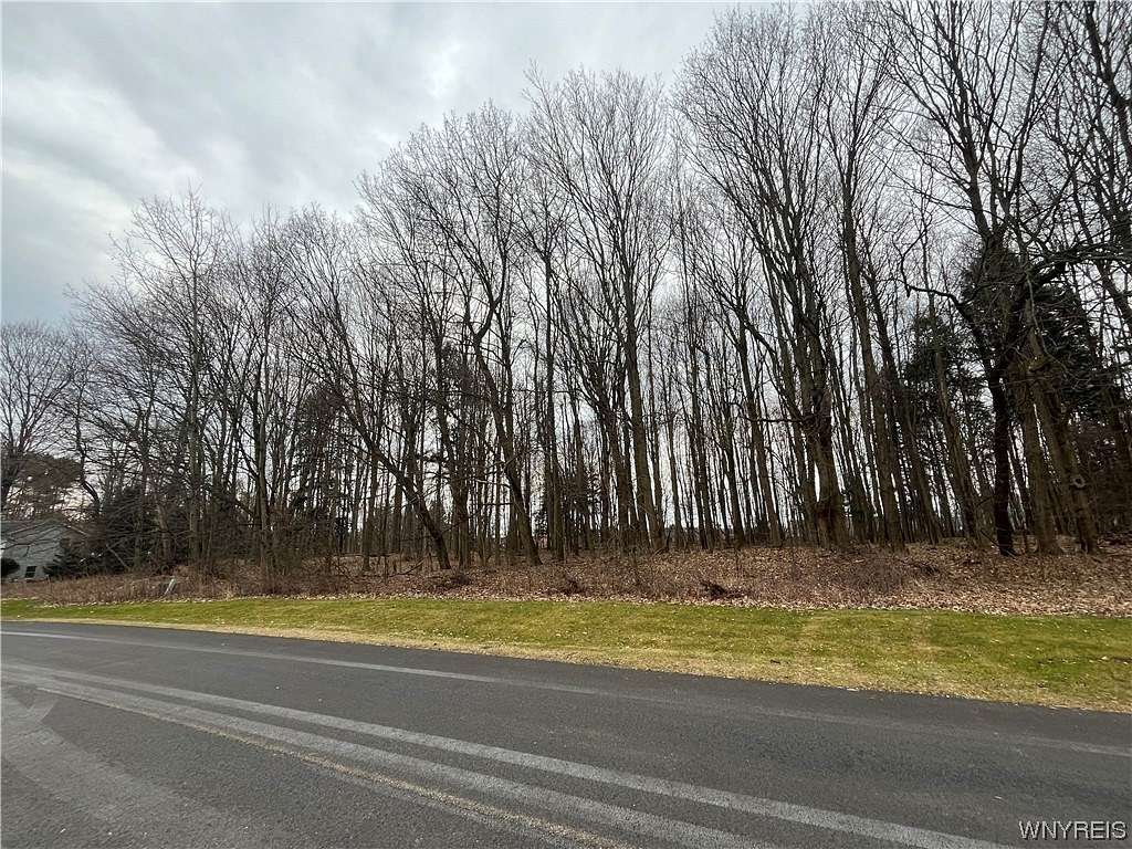 1.4 Acres of Residential Land for Sale in Collins, New York