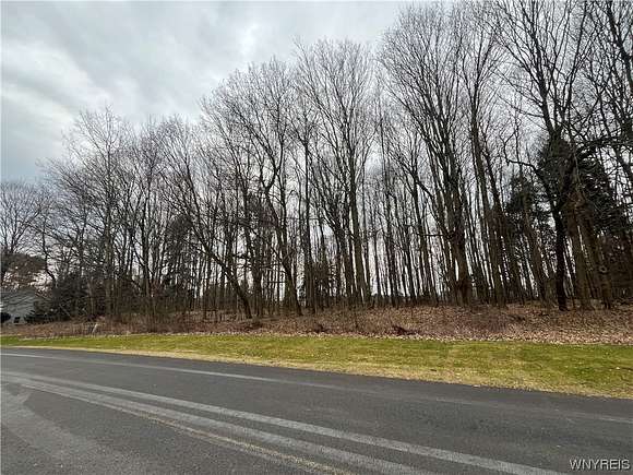 1.4 Acres of Residential Land for Sale in Collins, New York