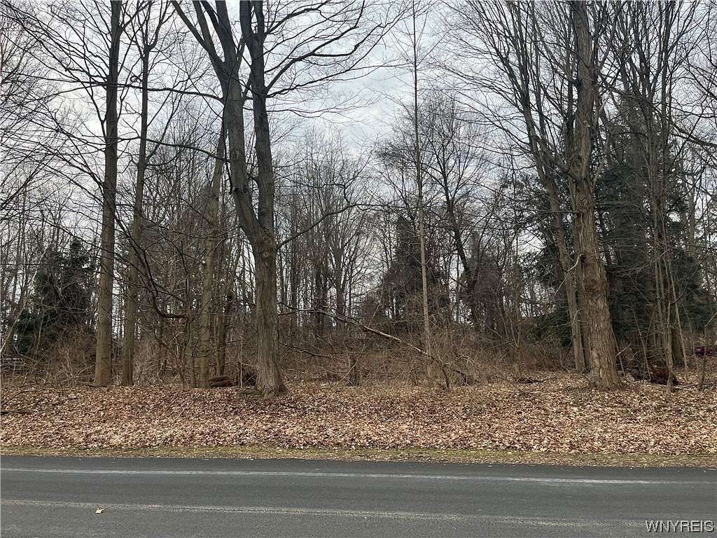 1 Acre of Residential Land for Sale in Collins, New York