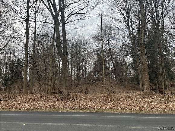 1.03 Acres of Residential Land for Sale in Collins, New York