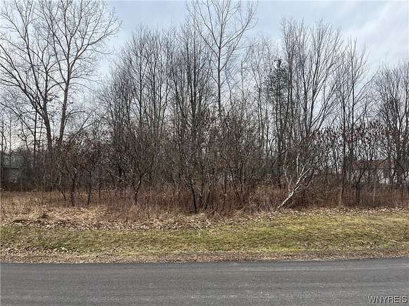 0.62 Acres of Residential Land for Sale in Collins, New York