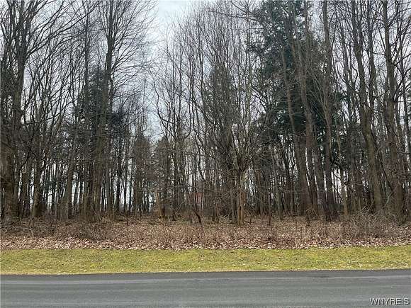 2.06 Acres of Residential Land for Sale in Collins, New York