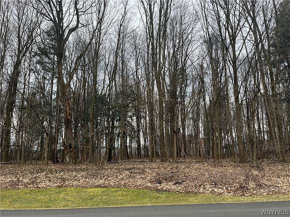 1.4 Acres of Residential Land for Sale in Collins, New York