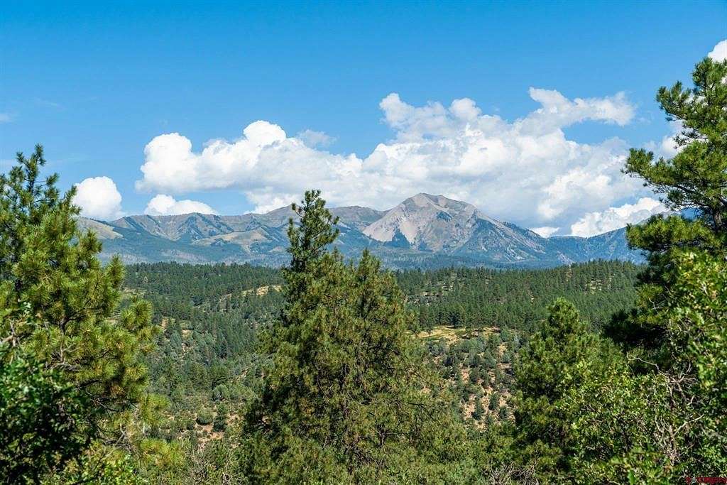 40.5 Acres of Land for Sale in Durango, Colorado