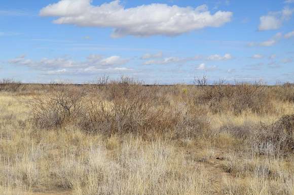 220 Acres of Recreational Land for Sale in McNeal, Arizona