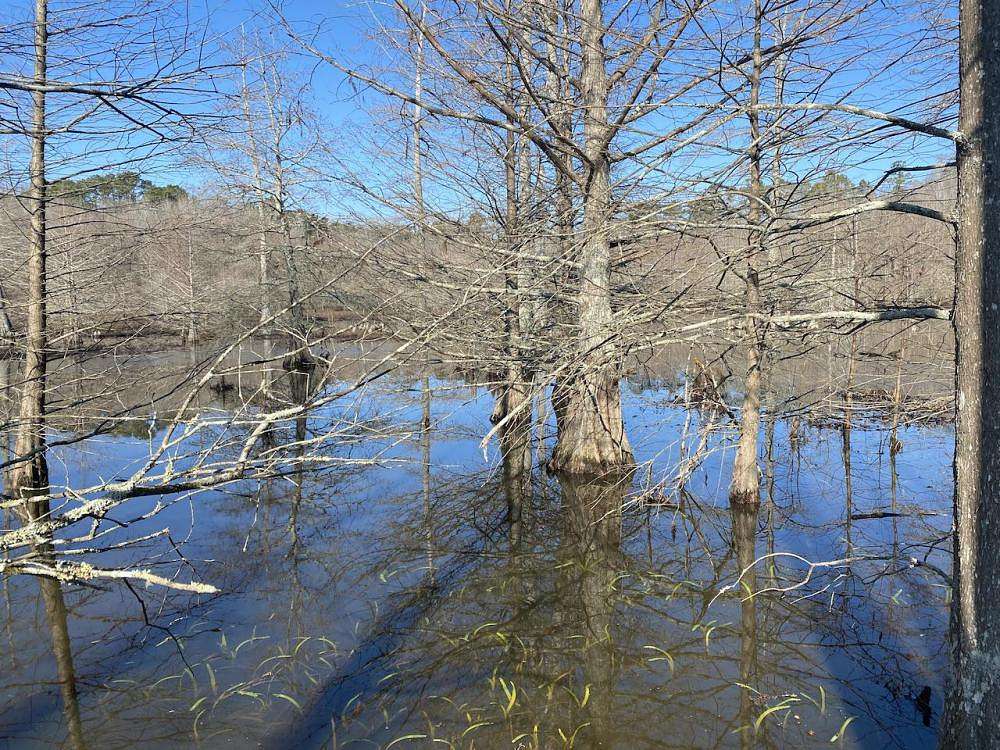 160 Acres of Recreational Land for Sale in Rowell, Arkansas