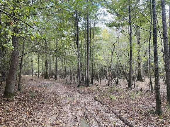 Land For Sale In Fordyce Arkansas