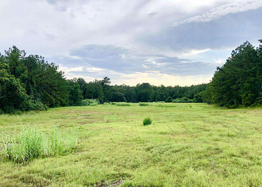 5.5 Acres of Land for Sale in Bay Minette, Alabama