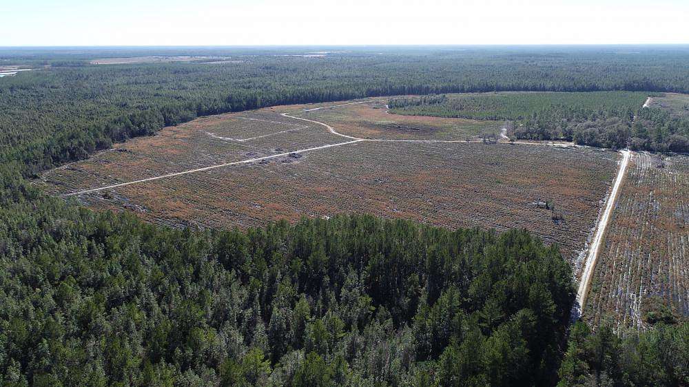 901 Acres of Land for Sale in Folkston, Georgia