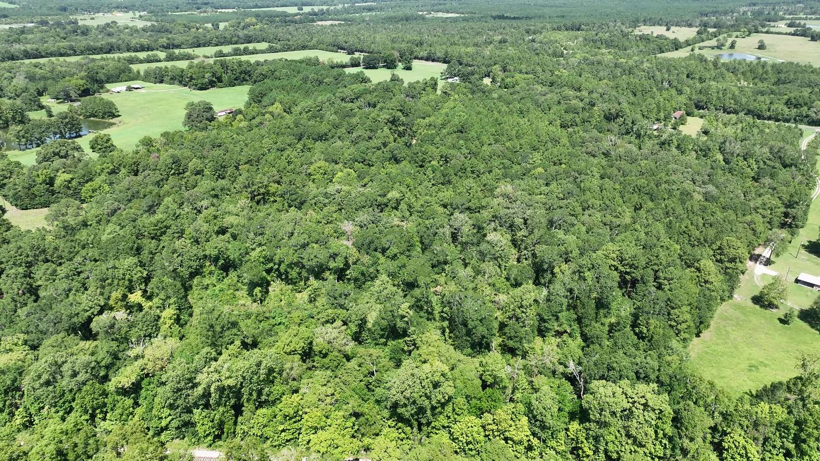 34 Acres of Recreational Land for Sale in Moscow, Texas