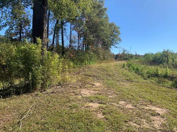 43 Acres of Recreational Land for Sale in Minden, Louisiana