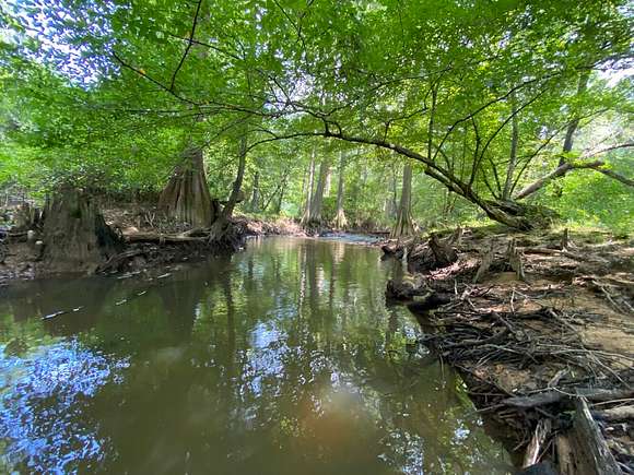 350 Acres of Recreational Land for Sale in Vernon, Alabama
