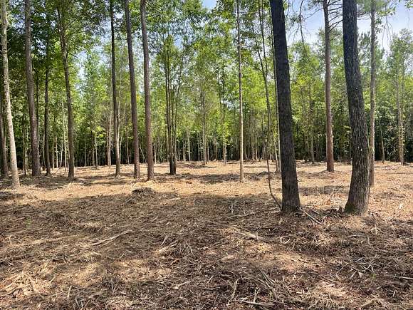 38 Acres of Land for Sale in Hubbertville, Alabama