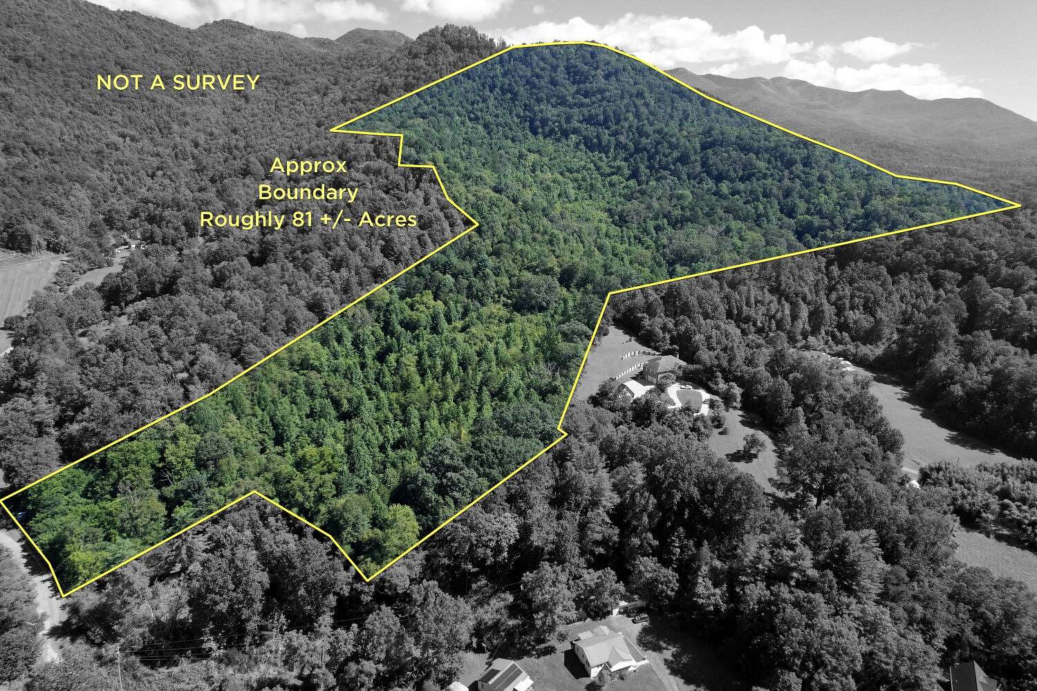 81 Acres of Agricultural Land for Sale in Sylva, North Carolina