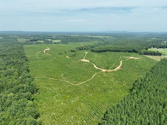297.27 Acres of Land for Sale in Hurt, Virginia