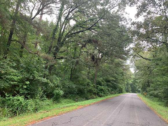 60 Acres of Recreational Land for Sale in Bastrop, Louisiana