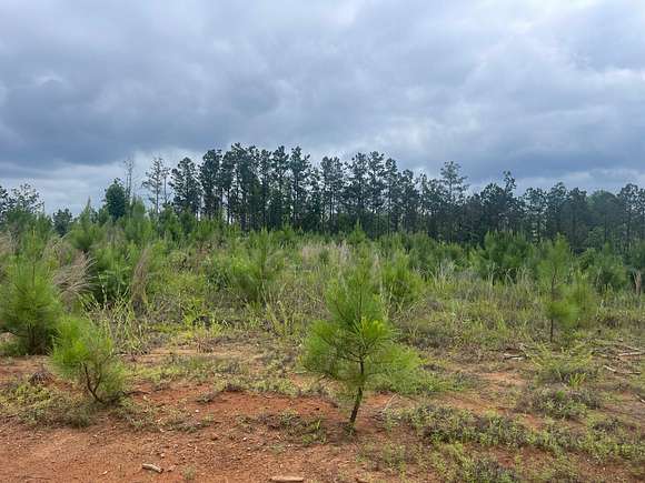 180 Acres of Land for Sale in Millport, Alabama