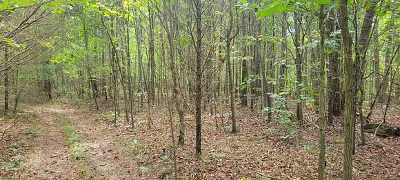 56 Acres of Recreational Land for Sale in Florence, Alabama