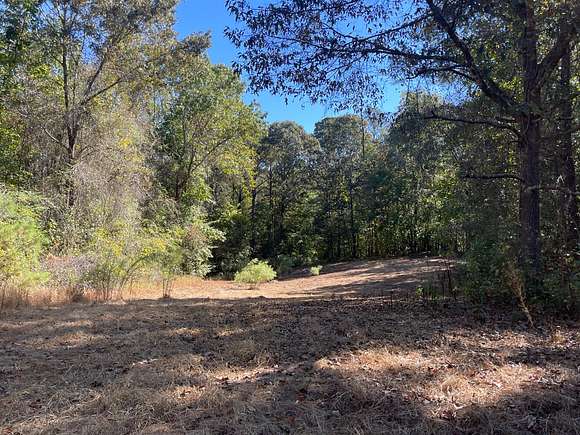 77 Acres of Land for Sale in Detroit, Alabama