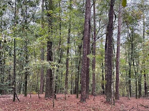 647 Acres of Recreational Land for Sale in Clayton, Alabama