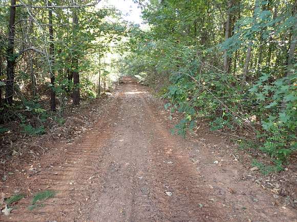 310 Acres of Land for Sale in Marion, Alabama
