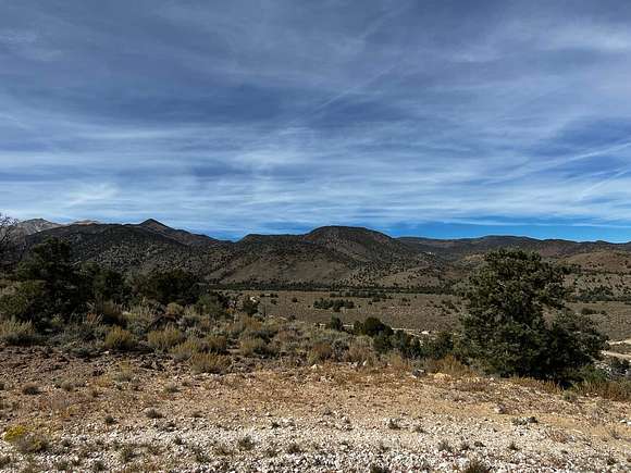 11.3 Acres of Land for Sale in Dyer, Nevada