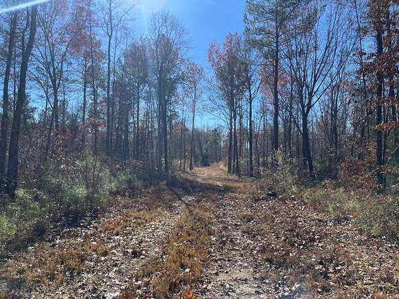 209 Acres of Land for Sale in Detroit, Alabama