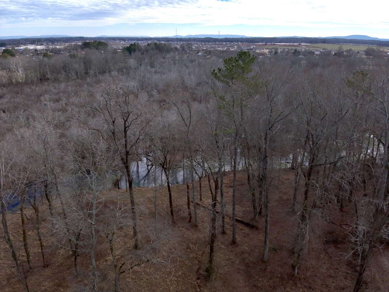 2.9 Acres of Residential Land for Sale in Hazel Green, Alabama