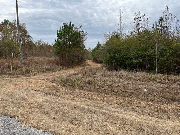 337 Acres of Recreational Land for Sale in Newton, Mississippi