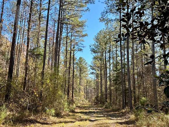 198 Acres of Recreational Land for Sale in Tunnel Springs, Alabama
