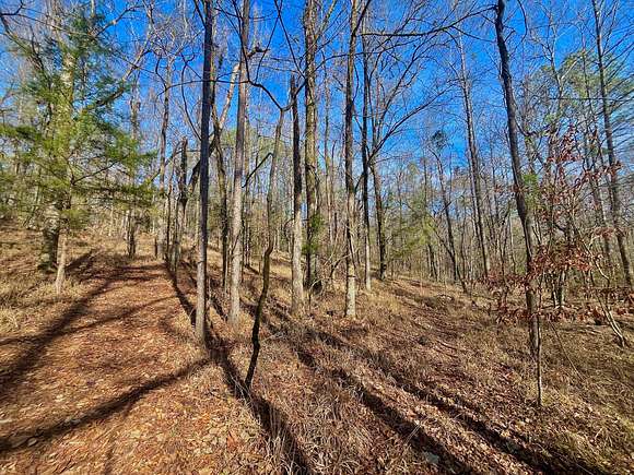 50.1 Acres of Land for Sale in Montevallo, Alabama