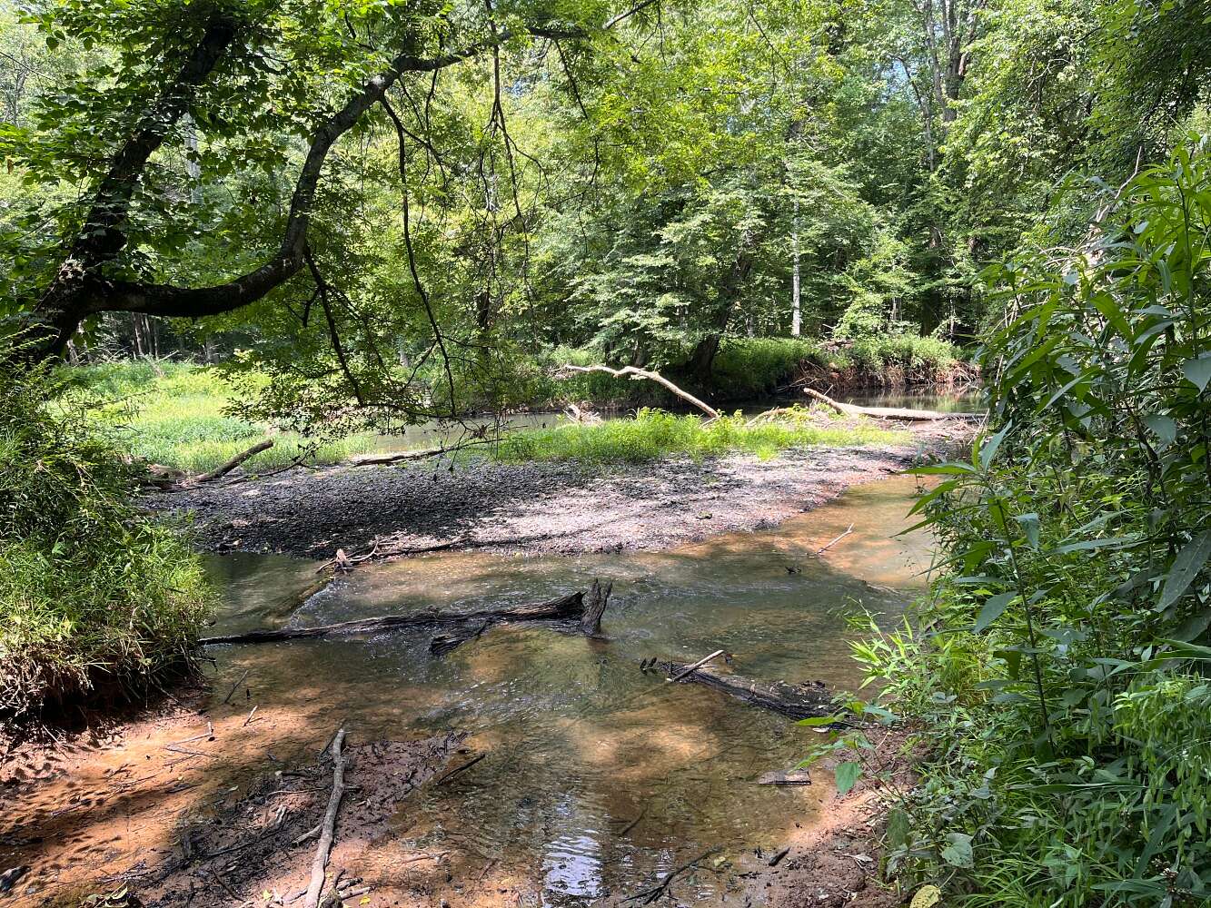 45 Acres of Recreational Land for Sale in Hazel Green, Alabama